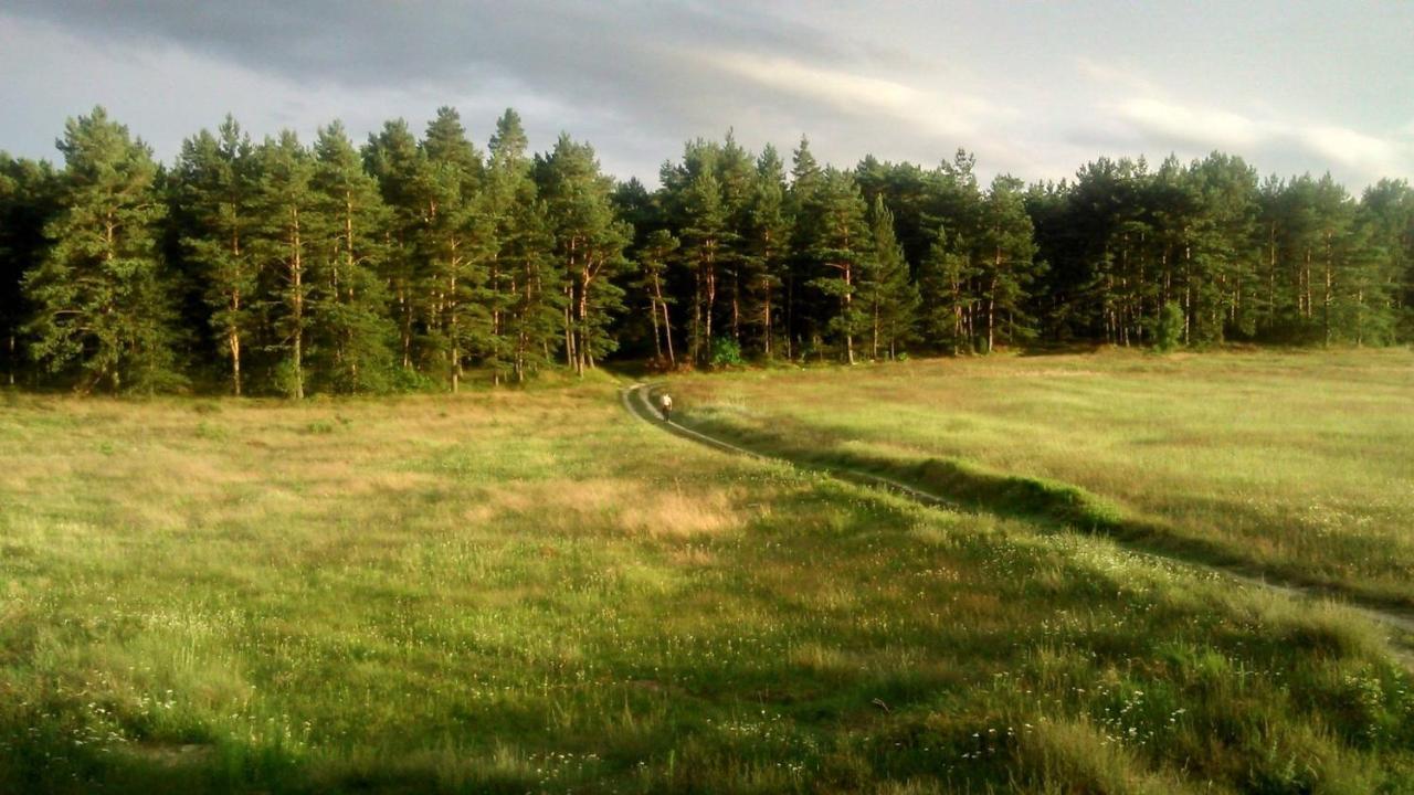 Pokoje Goscinne Weronika Ostrowo  Dış mekan fotoğraf